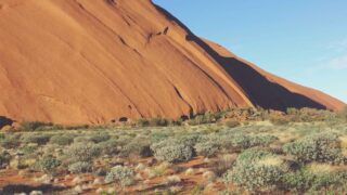 スペイン語「接続法現在」設計図 — いつ使う？どう作る？DELE対策で押さえる鉄則