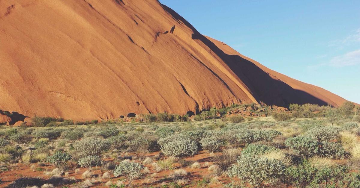 スペイン語「接続法現在」設計図 — いつ使う？どう作る？DELE対策で押さえる鉄則