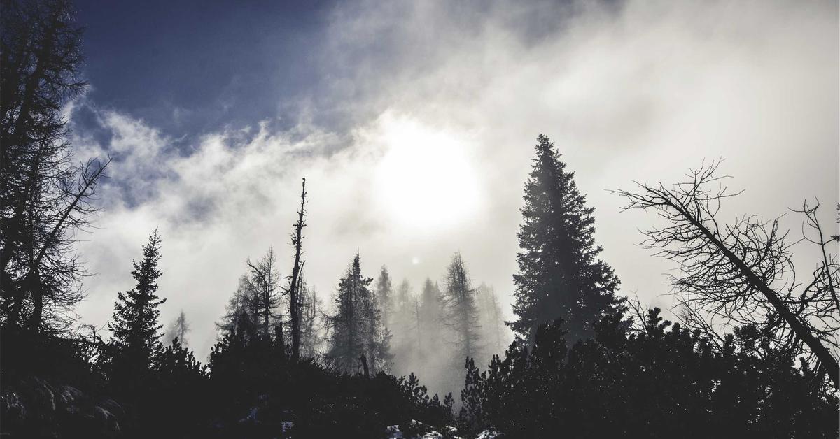 スペイン語「命令形」設計図 — 依頼・指示・禁止を完全使い分ける鉄則